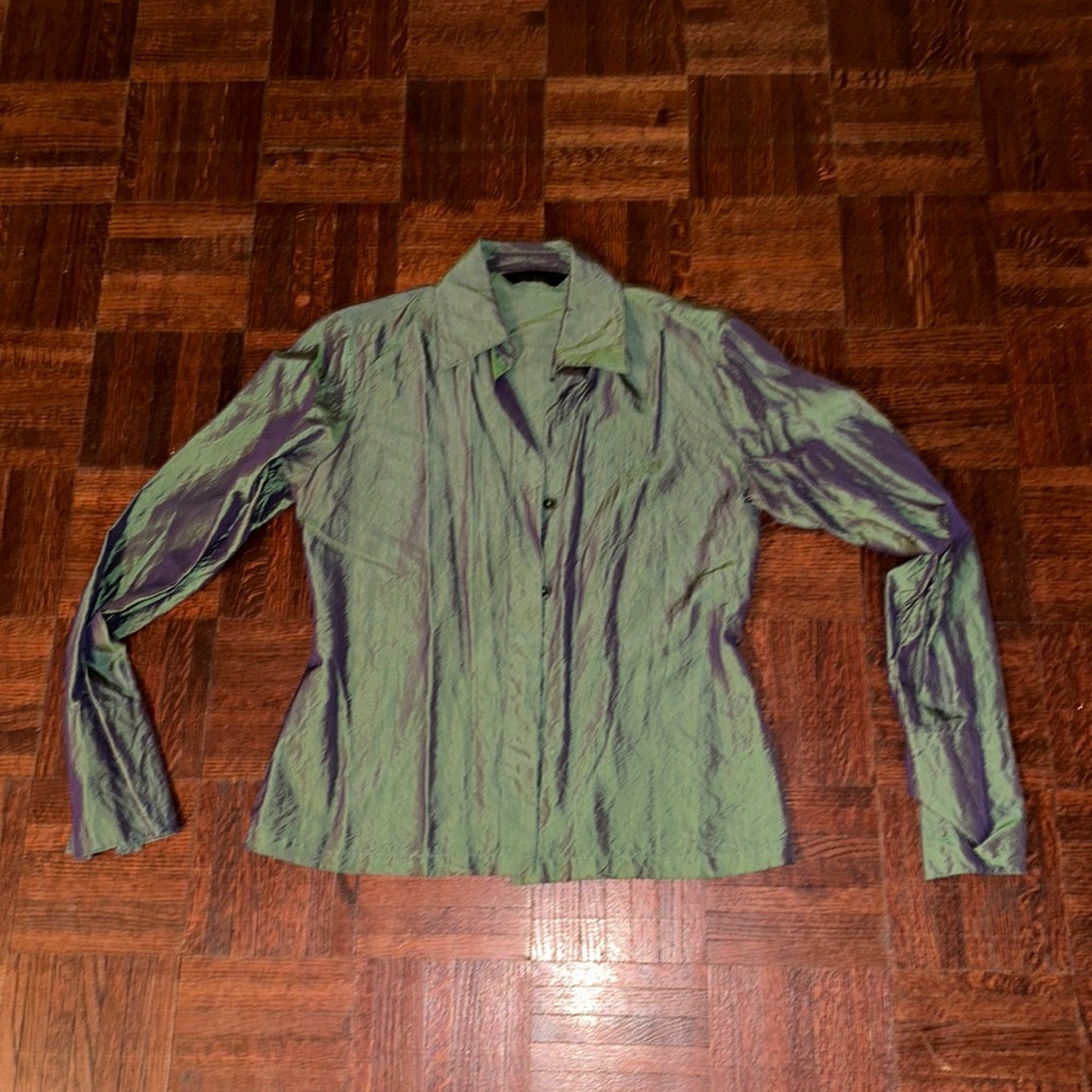 Express Iridescent Button Down US 4/5